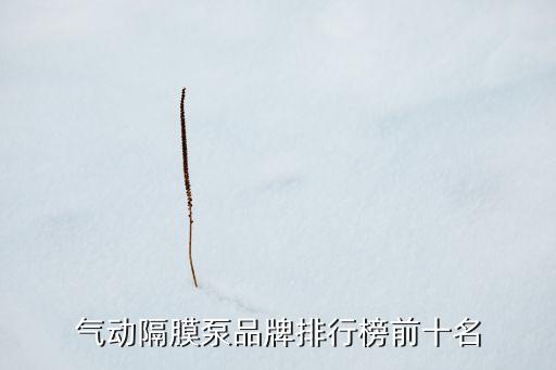 氣動隔膜泵品牌排行榜前十名