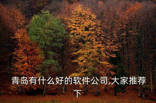  青島有什么好的軟件公司,大家推薦下
