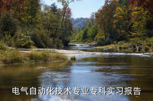 電氣自動化技術(shù)專業(yè)?？茖嵙?xí)報告