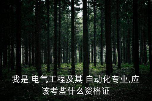 我是 電氣工程及其 自動(dòng)化專業(yè),應(yīng)該考些什么資格證