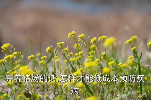 開養(yǎng)豬場的話,怎樣才能低成本預(yù)防疾病