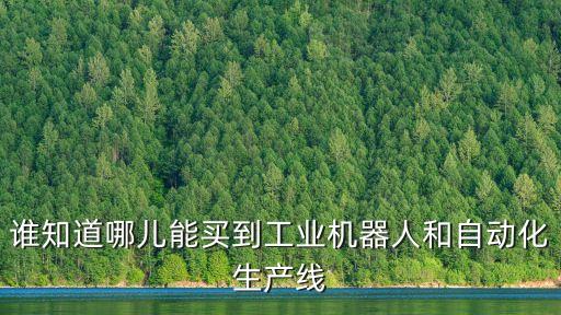 誰知道哪兒能買到工業(yè)機(jī)器人和自動化生產(chǎn)線