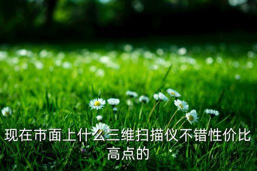 現(xiàn)在市面上什么三維掃描儀不錯性價比高點的
