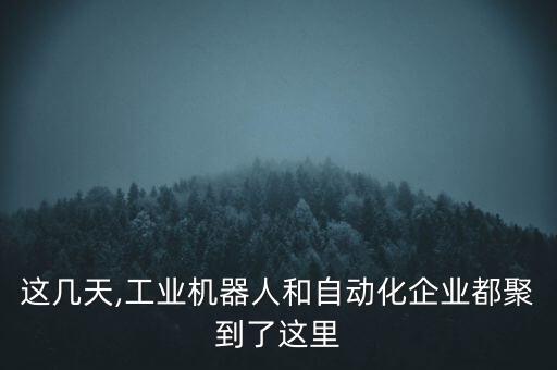 這幾天,工業(yè)機器人和自動化企業(yè)都聚到了這里