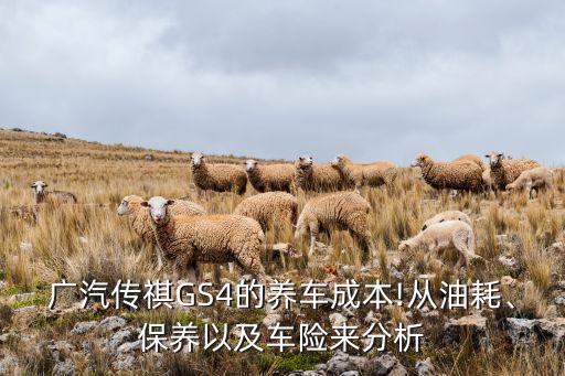 廣汽傳祺GS4的養(yǎng)車成本!從油耗、保養(yǎng)以及車險(xiǎn)來分析