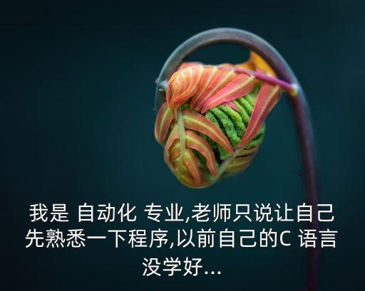 我是 自動化 專業(yè),老師只說讓自己先熟悉一下程序,以前自己的C 語言沒學(xué)好...