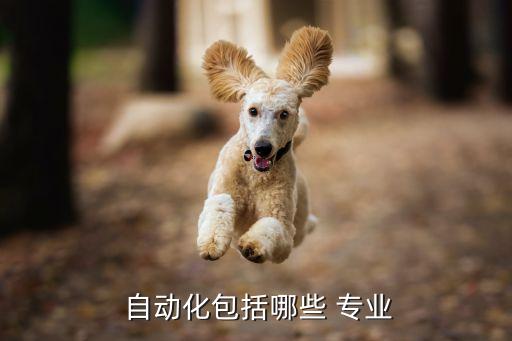  自動(dòng)化包括哪些 專業(yè)