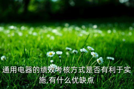通用電器的績效考核方式是否有利于實(shí)施,有什么優(yōu)缺點(diǎn)