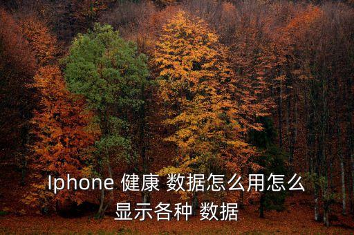 Iphone 健康 數(shù)據(jù)怎么用怎么顯示各種 數(shù)據(jù)