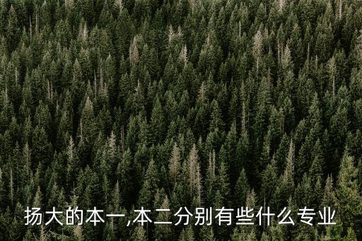 揚大的本一,本二分別有些什么專業(yè)