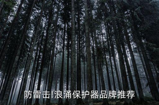 樂清佳上自動化公司,樂清市宏視自動化科技有限公司怎么樣?