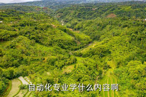 自動(dòng)化專業(yè)學(xué)什么內(nèi)容啊