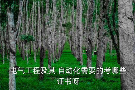 技能證書 電氣自動化