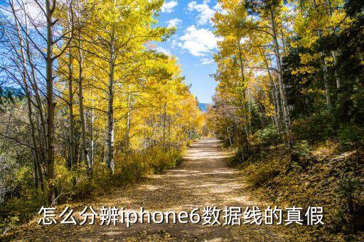 蘋果6數(shù)據(jù)線 有字嗎,蘋果6數(shù)據(jù)線有字嗎?耳機線也有字?