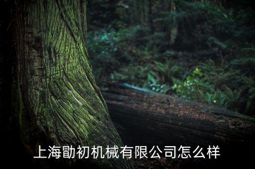 崇明自動(dòng)化設(shè)備電機(jī),自動(dòng)化設(shè)備常用的電機(jī)有那些?