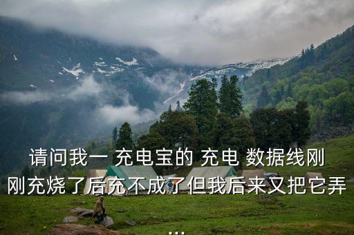 請(qǐng)問(wèn)我一 充電寶的 充電 數(shù)據(jù)線剛剛充燒了后充不成了但我后來(lái)又把它弄...