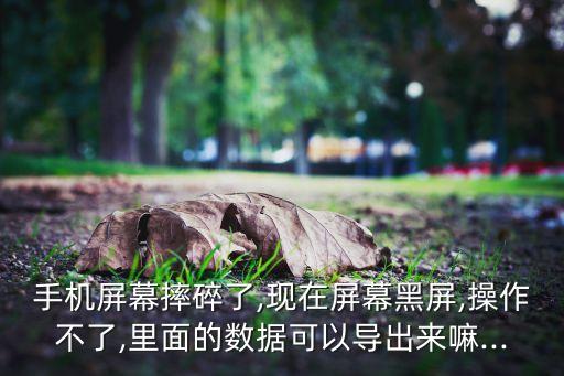手機屏幕摔碎了,現(xiàn)在屏幕黑屏,操作不了,里面的數據可以導出來嘛...