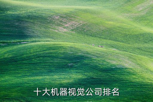 十大機(jī)器視覺(jué)公司排名