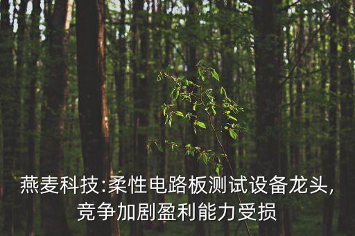 燕麥科技:柔性電路板測試設備龍頭,競爭加劇盈利能力受損