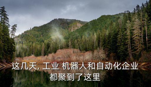 這幾天, 工業(yè) 機(jī)器人和自動化企業(yè)都聚到了這里