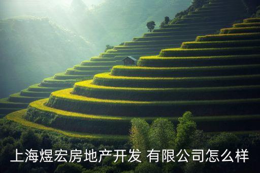 上海煜宏房地產(chǎn)開發(fā) 有限公司怎么樣