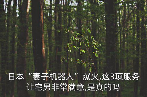 機器人學校前臺,小胖機器人家族成員有哪些?