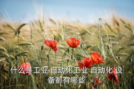 什么是工業(yè) 自動化工業(yè) 自動化 設備都有哪些