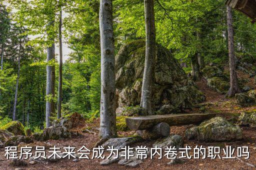 程序員未來會(huì)成為非常內(nèi)卷式的職業(yè)嗎