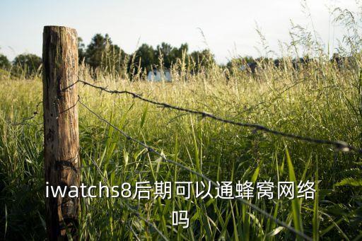 iwatchs8后期可以通蜂窩網(wǎng)絡(luò)嗎