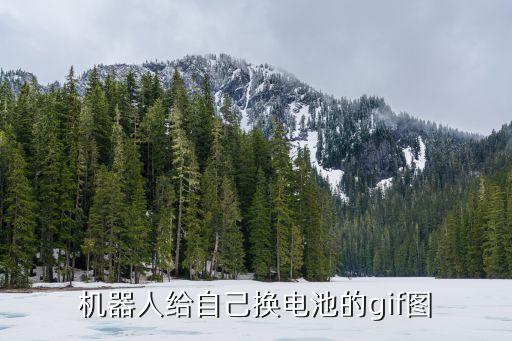 搜索機(jī)器人動態(tài)圖片大全,機(jī)器人給自己換電池名字叫什么?