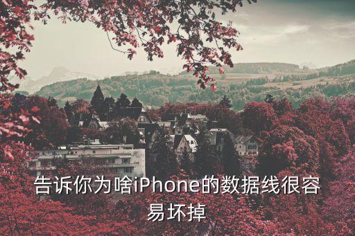 告訴你為啥iPhone的數(shù)據(jù)線很容易壞掉