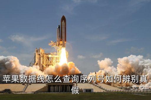蘋果數(shù)據(jù)線怎么查詢序列號如何辨別真假