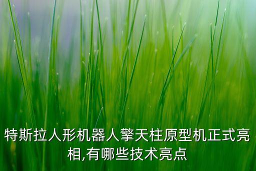 會(huì)打籃球的機(jī)器人,特斯拉人形機(jī)器人擎天柱原型機(jī)正式亮相