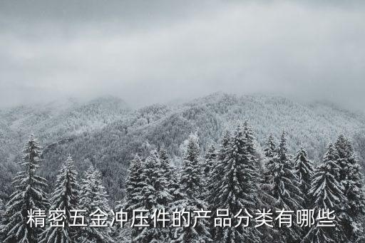 精密五金沖壓件的產(chǎn)品分類(lèi)有哪些