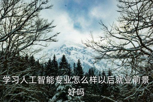 學習人工智能專業(yè)怎么樣以后就業(yè)前景好嗎