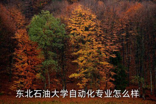 東北石油大學(xué)自動(dòng)化專業(yè)怎么樣