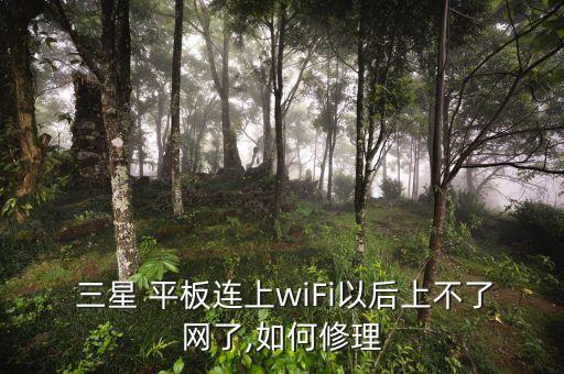  三星 平板連上wiFi以后上不了網(wǎng)了,如何修理