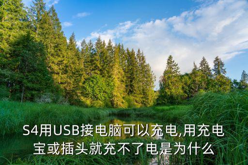 S4用USB接電腦可以充電,用充電寶或插頭就充不了電是為什么