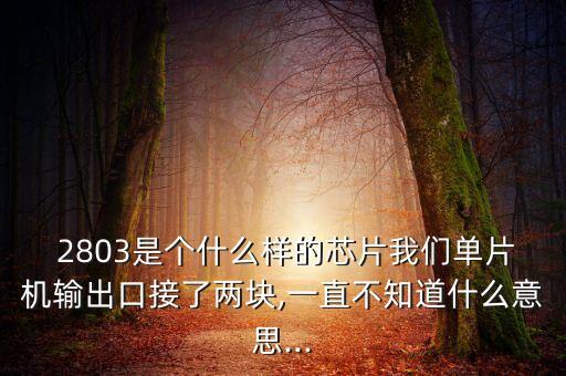  2803是個什么樣的芯片我們單片機輸出口接了兩塊,一直不知道什么意思...