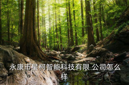  永康市星柯智能科技有限 公司怎么樣