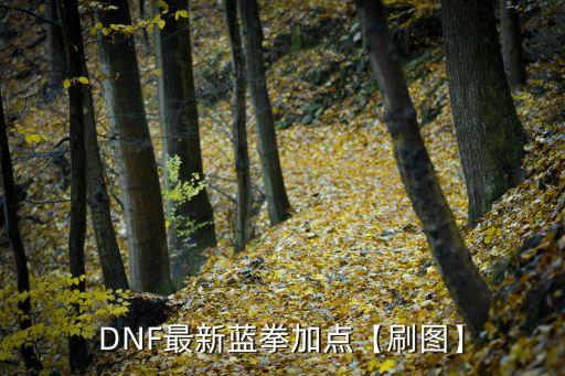 dnf最新版本,游戲改造哪些神話最好?一起來看看