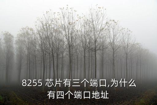 8255芯片,高通8255芯片