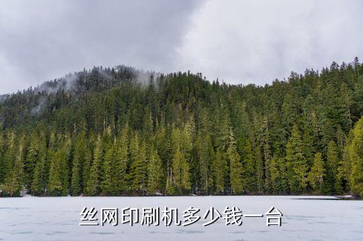 絲網(wǎng)印刷機(jī)多少錢一臺(tái)