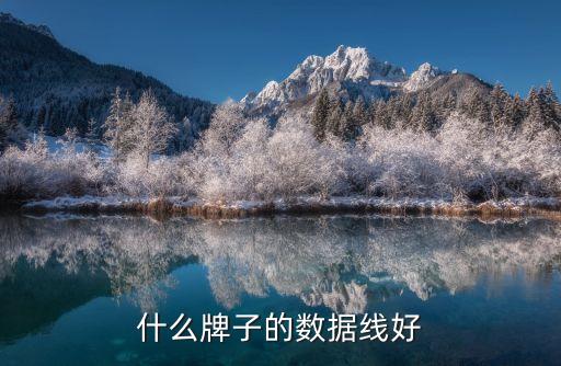 百思科數(shù)據(jù)線質量如何,蘋果手機數(shù)據(jù)線什么牌子的質量好?