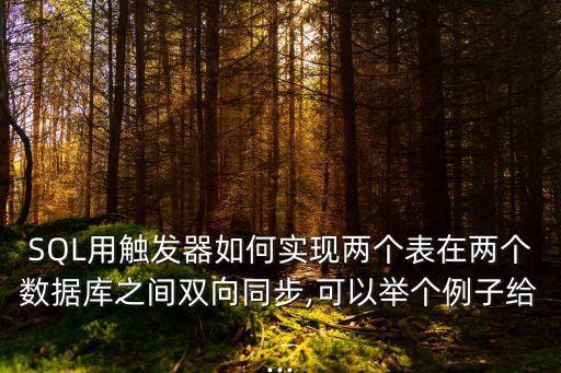 雙數(shù)據(jù)庫,數(shù)據(jù)庫與表文件之間的雙向鏈接如何實(shí)現(xiàn)?