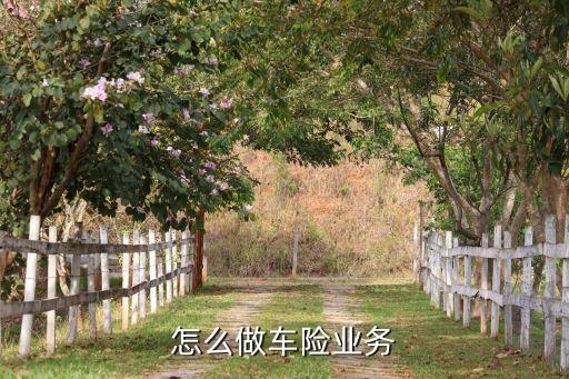 怎么做車險(xiǎn)業(yè)務(wù)
