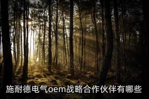施耐德電氣oem戰(zhàn)略合作伙伴有哪些