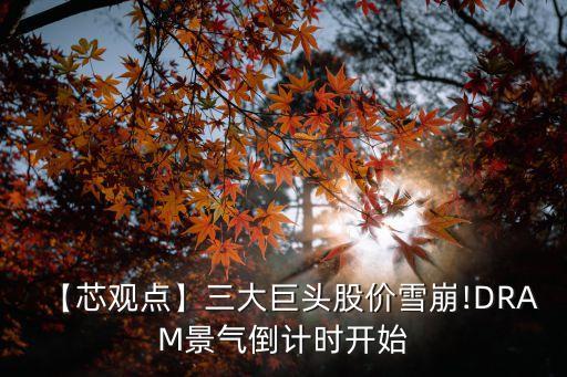 【芯觀點】三大巨頭股價雪崩!DRAM景氣倒計時開始