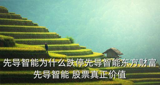 先導智能為什么跌停先導智能東方財富先導智能 股票真正價值
