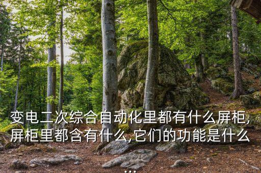 變電二次綜合自動化里都有什么屏柜,屏柜里都含有什么,它們的功能是什么...